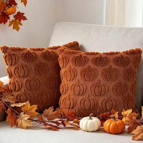Lot de 2 pièces Housses de Coussin Déco Automne 30x30 cm, Citrouille Taies d'oreiller pour Ferme Thanksgiving Halloween Automne Maison canapé Chambre décoration 30 x 30 cm (Rouge Rouille) (1/5)
