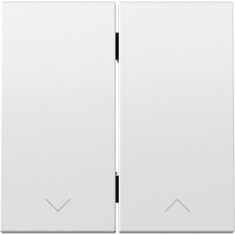 Tecla doble para mecanismo de persianas basculante blanco mate Simon 360 (1/5)
