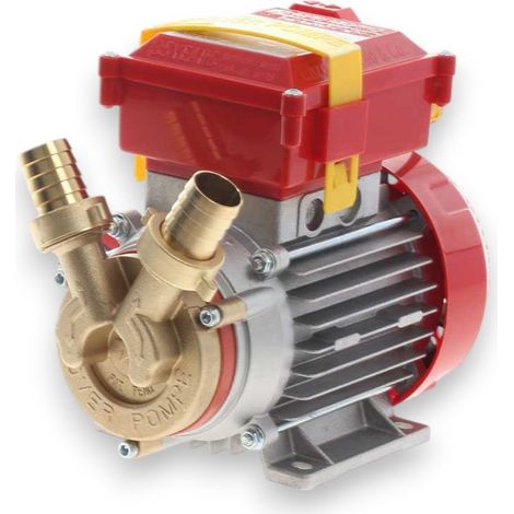 Pompa elettrica per travaso alimenti con rotazione reversibile hp 0.8 Rover (1/5)