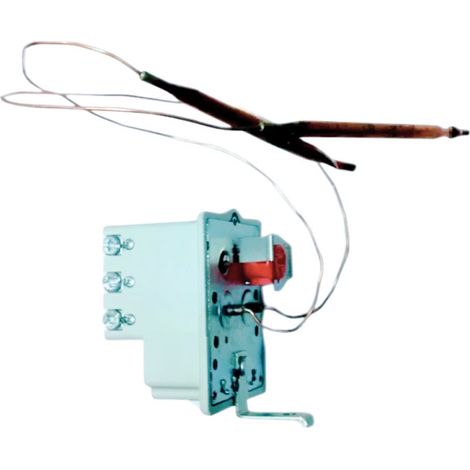 Termostato per acqua calda sanitaria con due bulbi flessibili BTS 450 con attacchi a vite