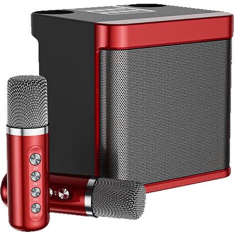 Bluetooth-Lautsprecher mit 2 Mikrofonen für Partys im Innen- und Außenbereich