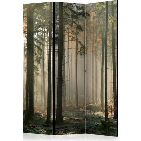 Paravent 3 Volets "Foggy November Morning" 135x172cm (1/2)
