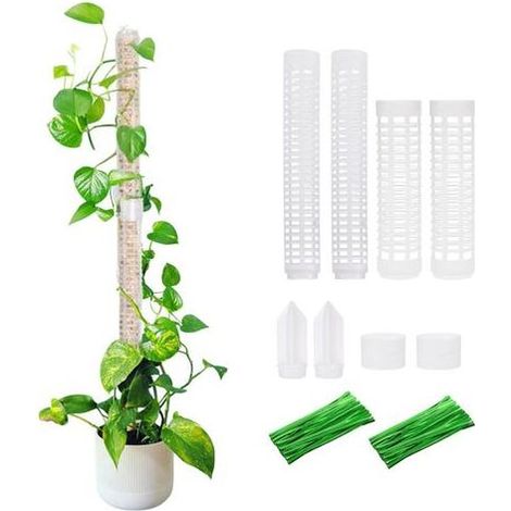 4pcs pour plantes grimpantes tiges de mousse empilables plantes en plastique hydromousse colonne tige stand up Rod grimpant rotin fixations stand (1/5)
