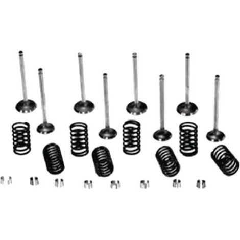 Kit valvole VAPORMATIC VPA6052