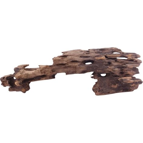 XL Honey Comb Wurzel Nr.5147 Holz Deko Aquascaping