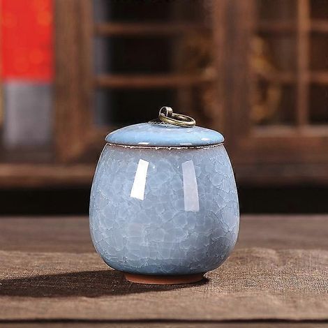 Urne funéraire en céramique scellée pour cendres de crémation, souvenir pour petits animaux (chien, chat), convient pour la maison ou la cheminée, jaune clair, bleu clair. (1/5)