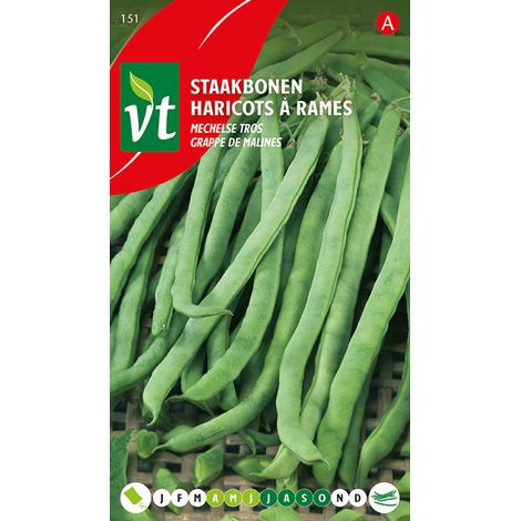 Haricots à Rames Marche De Malines - Ca. 50 gr (Livraison