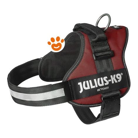 Pettorina Julius K9 Powerharness (DE) - Bordeaux - Accessori