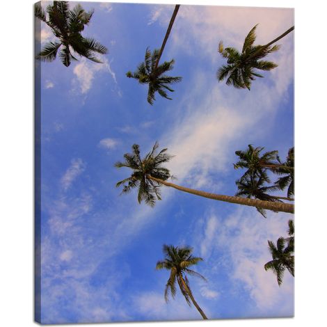 Stampa su tela Natura Palme da cocco 40x50 cm