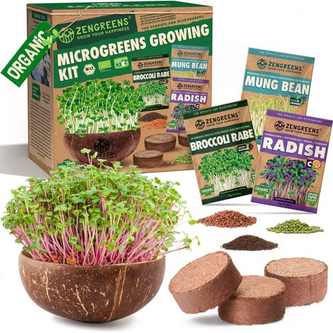 Kit microgreens cáscara de coco con 3 discos y semillas eco