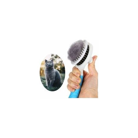 Self-Cleaning Dog and Cat Grooming Brush, Cat and Dog Grooming Brush, Loose Hair Brush for Cats and Dogs, One-Click Removal of Loose Hair and Undercoat, Blue (Color) (1/5)
