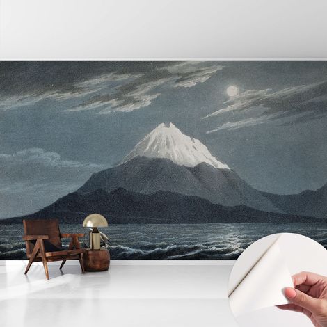Papier peint adhésif décoratif pour salon chambre et cuisine Facile à poser avec colle Nuit de pleine lune 416x254 cm (1/5)