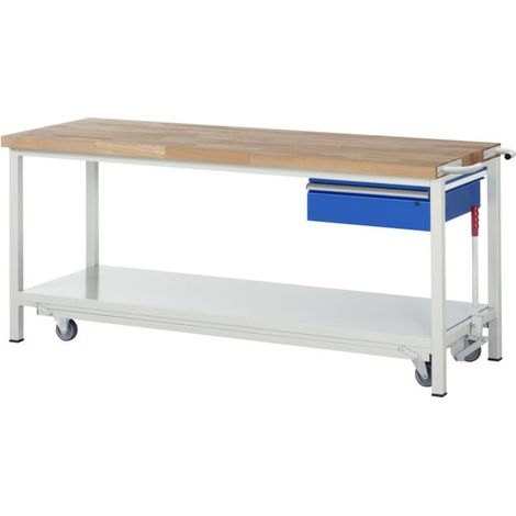 Etabli Rau avec châssis abaissable modèle 8001 L 2000 x P 700 x H 880mm (1/5)