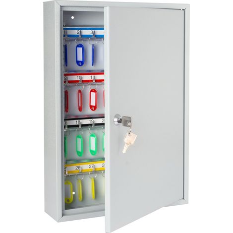 HMF 13564-07 Schlüsselschrank 64 Haken, 45 x 30 x 8 cm, Lichtgrau (1/4)