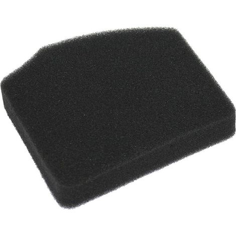 Filtro aria Soffiatore EBV 260 Euro 3  KASEI