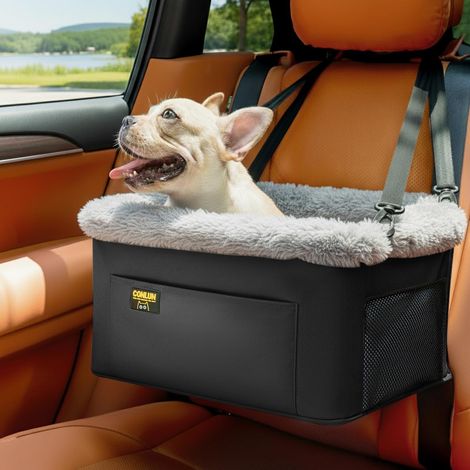 Dog Car Seat for Small Dogs up to 9 kg - Sturdy Dog Seat Car with Steel Frame & Front Pocket - Foldable Dog Basket Car with Safety Lead and Washable Insert (40 x 33 x 22 cm) (1/5)