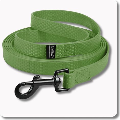 Correa impermeable color caqui - 5 m, 76 mm - perro de 10 a 25 kg (1/5)