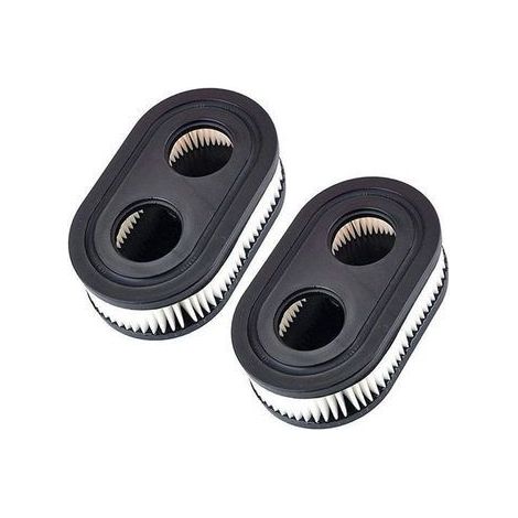 Filtres à air pour Tondeuse pour Briggs & Stratton 798452 593260 5432 5432K,A (1/5)