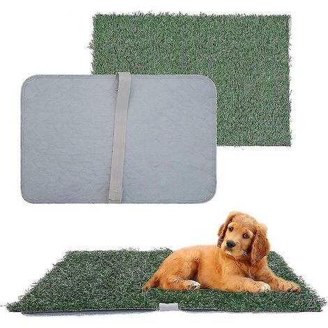 Gazon artificiel 64 cm x 42 cm avec ensemble de tapis absorbants lavables et réutilisables (1/5)