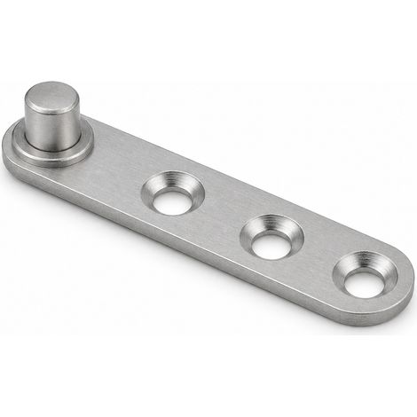 Charnière Pivot Inox Épaisse pour Porte Battante 58,6 mm (1/5)