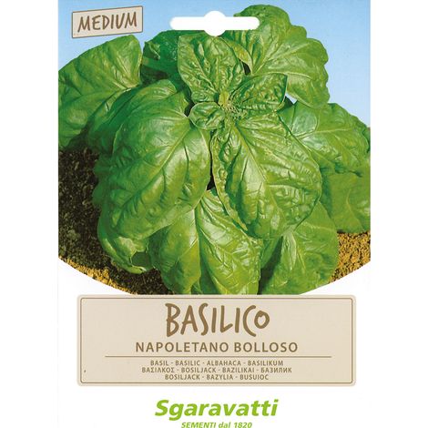 SEMI PER ORTAGGI E VEGETALI basilico napoletano bolloso 10 PZ