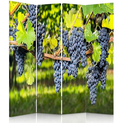 Paravent Décoratif Raisins Noirs pour Ambiance Vignoble - 145 x 180 cm - 1 face déco, 1 face noir (1/5)