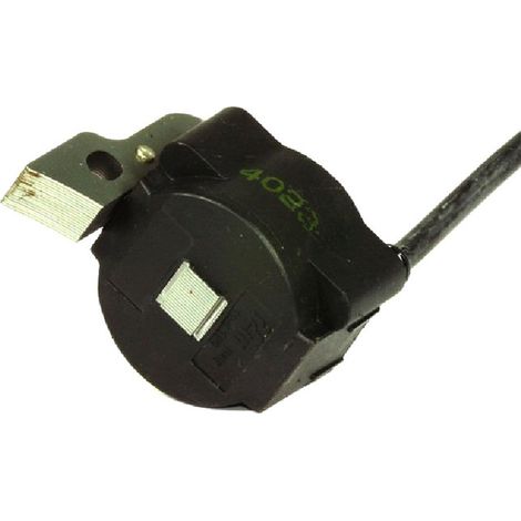 Accensione Elettronica motosega Alpina P360, P370, P390, P410 originale