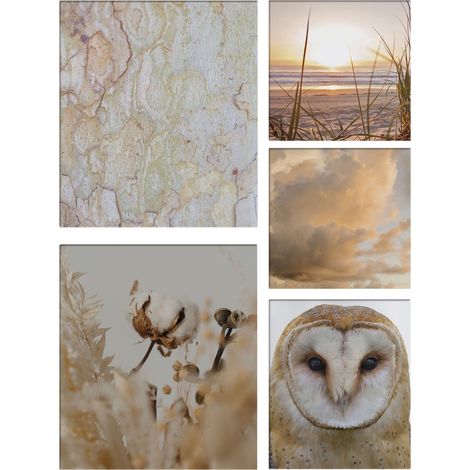 Leinwandbild Set Natur (5-teilig)