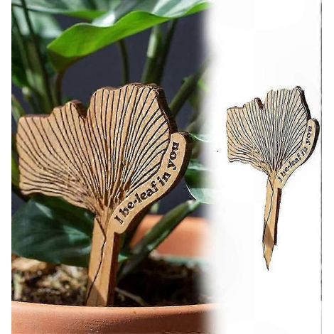 Witzige Gartenschilder aus Holz für Sukkulenten, inspirierende Deko-Markierungen, 10 cm lange handgefertigte Sukkulentenstecker (1/3)
