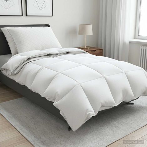 Set di piumoni in piume d’oca al 90% FULDA 3 pcs 135 x 220 cm vidaXL (1/5)