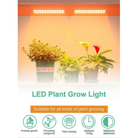 Lampes de croissance LED d'intérieur USB Quantum Board, lampes horticoles suspendues 5V (1/4)