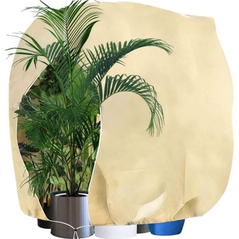 200 240cm Housse Hivernage Plante, Voile Hivernage Plante, Housse de Protection pour Plantes avec Cordon de Serrage et Zipper, Voile d'Hivernage Housse d'hivernage Plante Réutilisable (1/5)