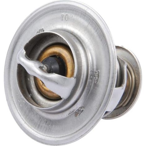 Thermostat CASE IH 3059676R92 (1/3)