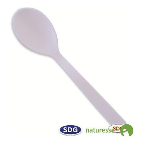 Cuillère jetable professionnelle 17 cm en PLA - 1000 pièces - Ecobioshopping (1/3)