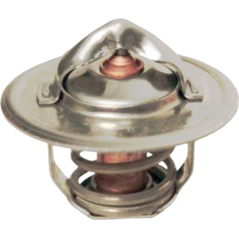 Thermostat Renault 54mm 74718043 GRANITE 6005022968 (1/2)