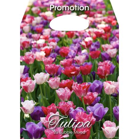 Mix Bulbi di Tulipano Bubble 20 Bulbi