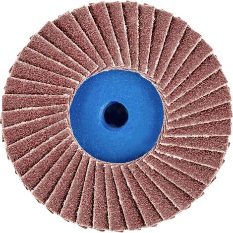 COMBIDISC Mini-Polifan corindon 50mm G80 Pferd 1 PCS (1/4)