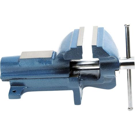 Schraubstock 100 mm aus Gusseisen Fervi 0427/100