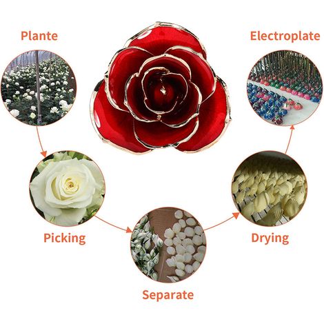 Rose en or 24 carats sur tige avec coffret cadeau et support transparent - Cadeau romantique et chic (1/4)