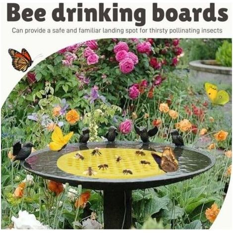 Abreuvoir pour abeilles, 4 îlots flottants, plateau d'abreuvement, abreuvoir extérieur pour insectes, plateau à nid d'abeilles flottant