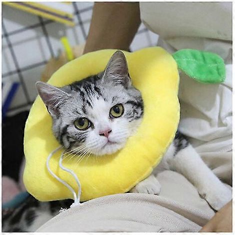Herstelhalsband voor katten, verstelbare anti-bijthalsband, zachte en schattige kattenhalsband met capuchon M (1/5)