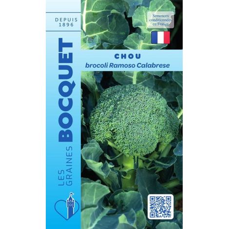 Chou Brocoli Ramoso Calabrese - 1,5g