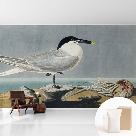 Newroom Tapete Dekorative Vliestapete mit Kleber Modern für Wohnzimmer Schlafzimmer Ornithologische Eleganz 416x254 cm (1/5)