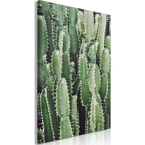 Tableau Imprimé "Cactus Garden" 40 x 60 cm (1/2)