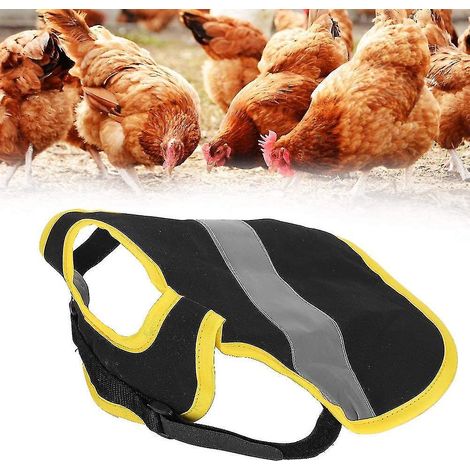 Lot de 3 gilets réfléchissants pour poules, harnais ajustable, selle de marche, tabliers de protection pour plumes, support pour canards, poules, oies et volailles. (1/5)