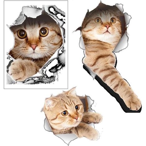 Lntyq Autoaufkleber, Katzenaufkleber, Autoaufkleber, Katzen-Autoaufkleber, 3D-Stereo, abnehmbar für Auto, Kawaii-Aufkleber, Kratz-Haustier-Katzen-Autoaufkleber, 3-teilig (1/5)