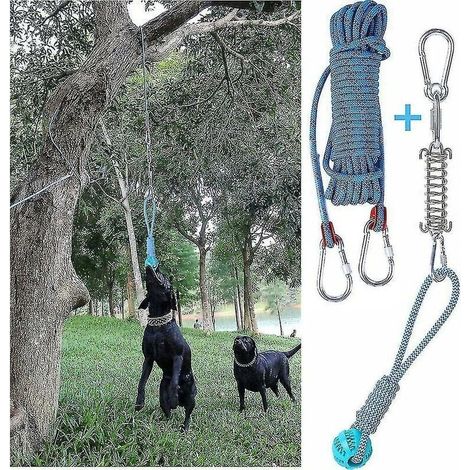 Federbelastetes Hängespielzeug-Set für Hunde zur Bewegung im Freien, Beißring aus Baumwollseil