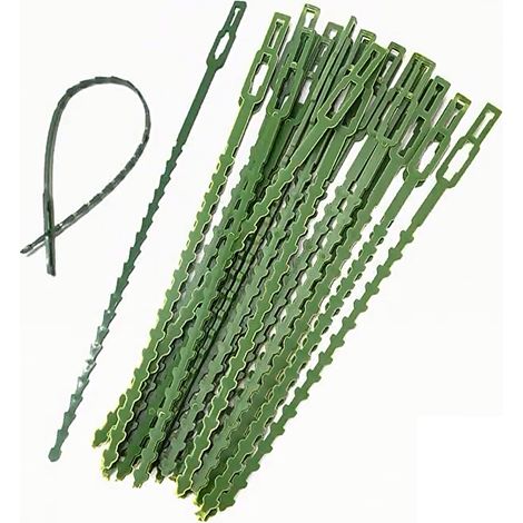Pack de 50 attaches pour plantes de jardinage de 11 cm, attaches pour bouquets (1/5)