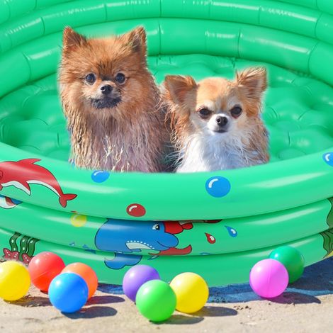 Piscine Gonflable pour Enfants 150 cm, Bassin Rond Vert pour Bébé, Jeu d'Intérieur et d'Extérieur, Cadeau pour Fille et Garçon