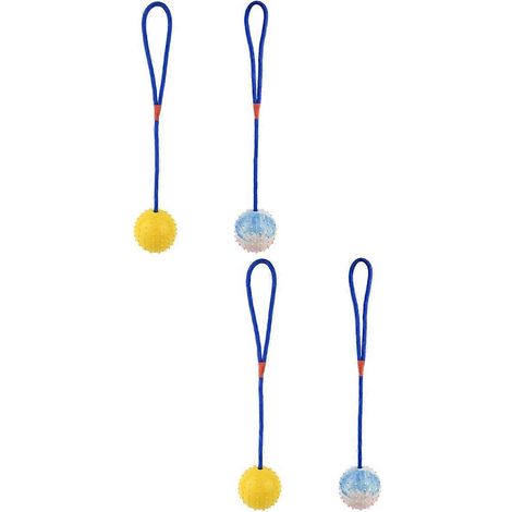 Balle de nettoyage des dents pour chiot en caoutchouc (lot de 4) (1/4)